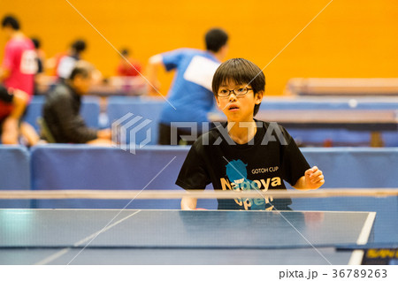 卓球少年 36789263