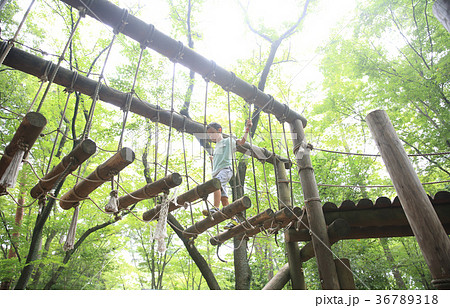 公園で遊ぶ子供 36789318