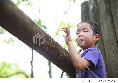 公園で遊ぶ子供 36789403