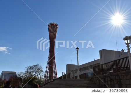 神戸ポートタワー 36789898