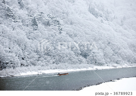 最上川雪景色 山形県 最上川雪景色 山形県 36789923