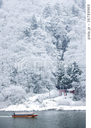 真冬の絶景　最上川白糸の滝と舟下り　山形県 36789969
