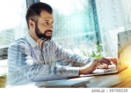 Handsome good-looking man sitting and using laptop 36790226