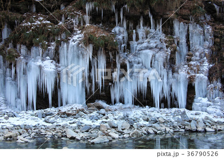 三十槌の氷柱 三十槌の氷柱 36790526