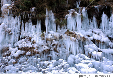 三十槌の氷柱 三十槌の氷柱 36790533