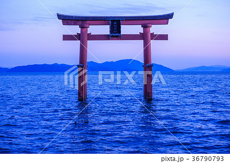 鳥居と琵琶湖 日本 滋賀県 36790793