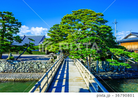 滋賀県 満月寺浮御堂 琵琶湖 滋賀県 満月寺浮御堂 琵琶湖 36790801
