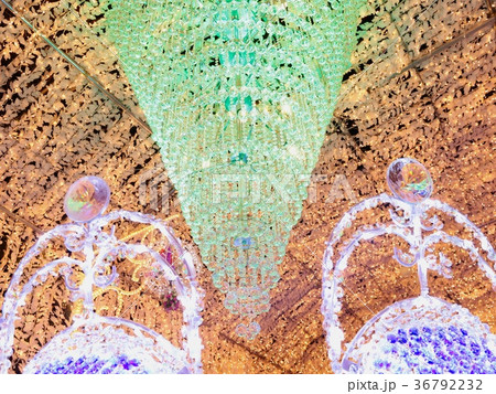 2017 御殿場 時之栖イルミネーション 1 36792232