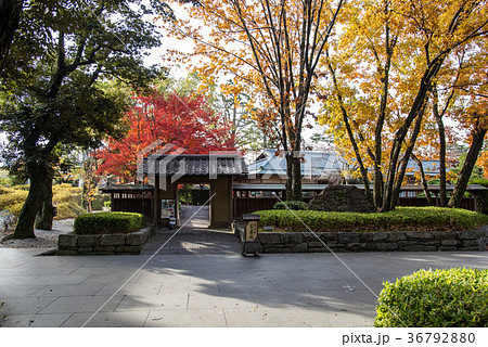 愛知 岡崎公園の茶室 紅葉の城南亭 愛知 岡崎公園の茶室 紅葉の城南亭 36792880