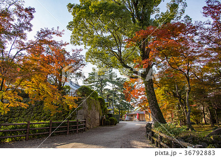 愛知 岡崎公園 紅葉の龍城神社の写真素材