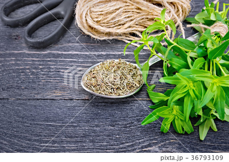 Savory dry in spoon with twine on black board Savory dry in spoon with twine on black board 36793109