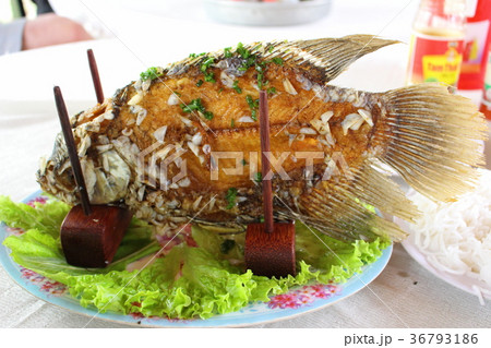 名物料理エレファントフィッシュ 名物料理エレファントフィッシュ 36793186