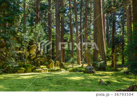 平泉寺白山神社　境内風景 36793504