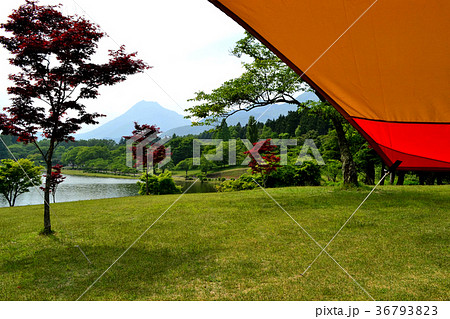 志高湖キャンプ場 初夏の風景 志高湖キャンプ場 初夏の風景 36793823