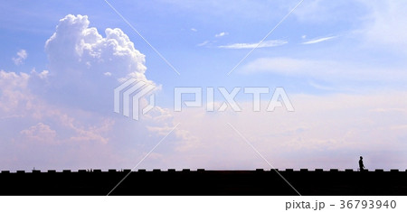 夏空　渡良瀬遊水池 36793940