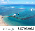 ハワイの青い海と青い空と船乗り場（ヒルトンハワイアンビレッジからの眺め） 36793968