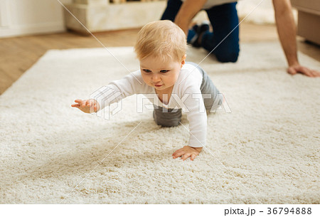 Confident little child crawling on the floor while 36794888