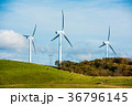 牧場の風力発電 36796145