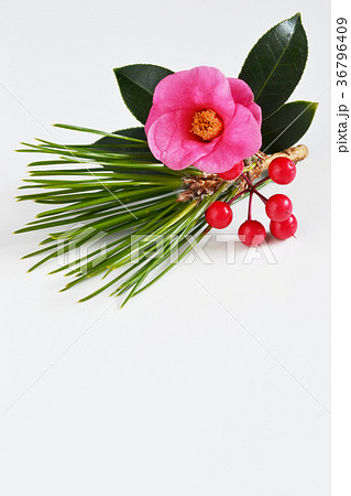 開運椿松万両 36796409