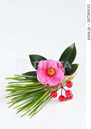 開運椿松万両 36796410