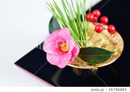 開運椿松万両金杯 開運椿松万両金杯 36796884