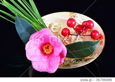 開運椿松万両金杯 36796886