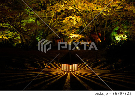 宝厳院 紅葉2017 宝厳院 紅葉2017 36797322