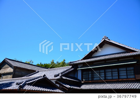 江戸情緒の町並み 36797749