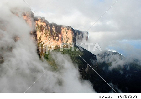 ギアナ高地、ロライマ山から流れ落ちる滝 ギアナ高地、ロライマ山から流れ落ちる滝 36798508