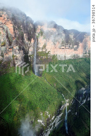 ギアナ高地、ロライマ山から流れ落ちる滝 ギアナ高地、ロライマ山から流れ落ちる滝 36798514