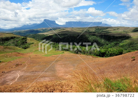 ギアナ高地、ロライマ山、クケナン山 ギアナ高地、ロライマ山、クケナン山 36798722