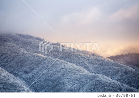 雪の朝-2、雲の隙間から朝日が覗く雪の朝風景の写真素材 [36798761