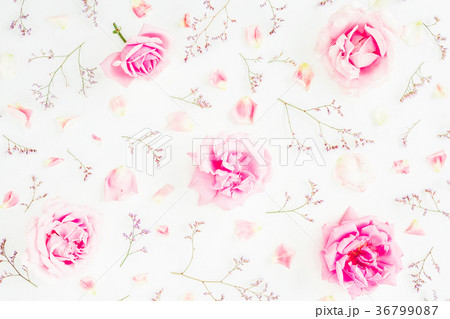 Floral pattern of pink roses, wild flowers 36799087