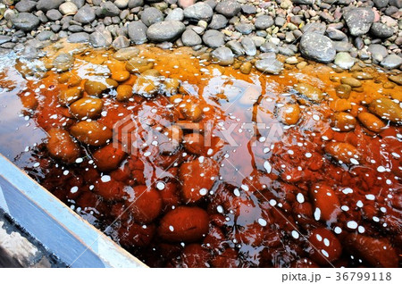 ギアナ高地、エンジェルフォールへの道 36799118