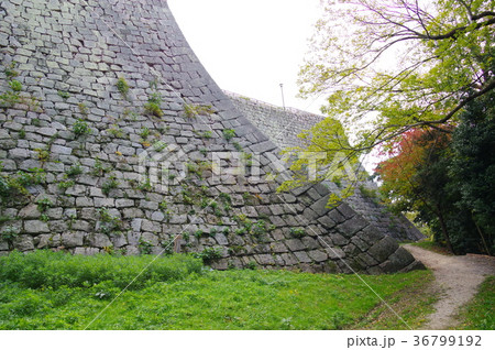 丸亀城 丸亀城 36799192