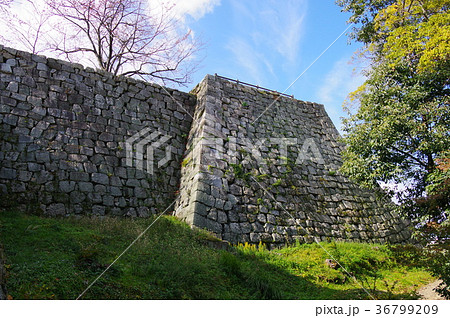 丸亀城 丸亀城 36799209