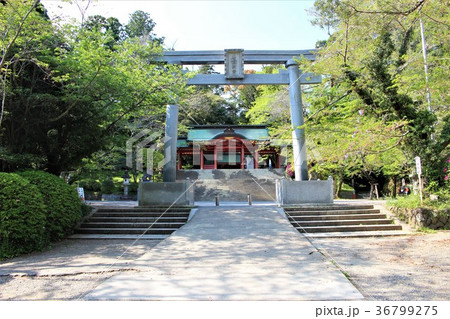 香取神宮（二の鳥居と総門） 36799275