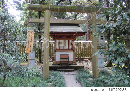 香取神宮（摂社の匝瑳神社） 36799283