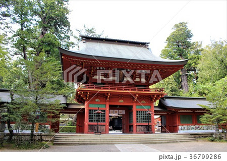 香取神宮（楼門） 36799286