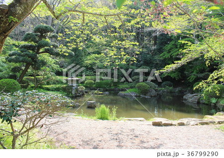 香取神宮（神池） 36799290