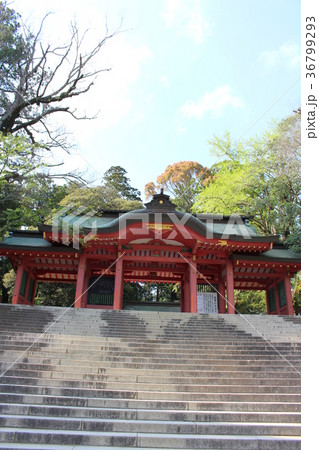 香取神宮（総門） 36799293