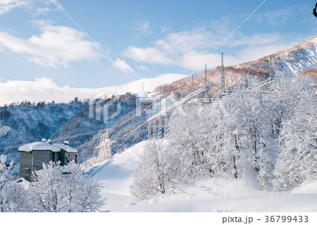 雪景色 雪景色 36799433