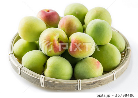 大粒の南高梅　青梅 36799486