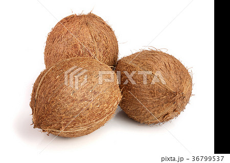 whole coconut isolated on white background whole coconut isolated on white background 36799537