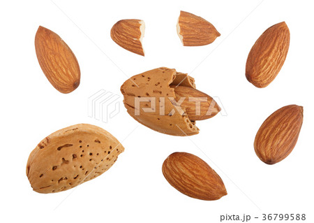 almonds isolated on white background without a almonds isolated on white background without a 36799588