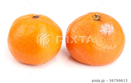 moldy and good tangerine isolated on white moldy and good tangerine isolated on white 36799615