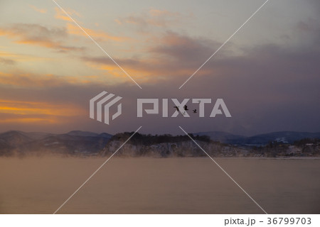 毛嵐が出た海 36799703