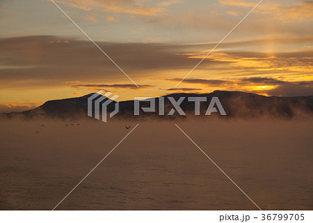 毛嵐が出た海 36799705