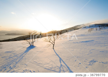 冬の道東　夕暮の藻琴山から見る屈斜路湖（北海道） 36799770