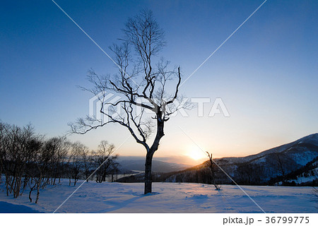 冬の道東　夕暮の藻琴山（北海道） 36799775